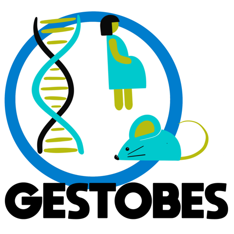 GESTOBES